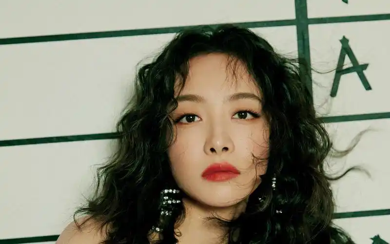 宋茜蓬松的卷发酷美霸气迷人写真,大陆明星-回车桌面