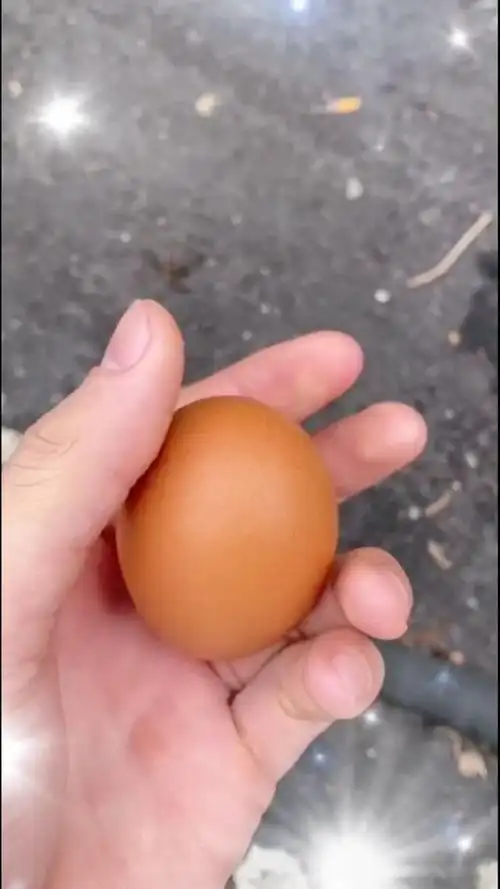 小伙神操作,徒手捏爆鸡蛋,谁能做到?
