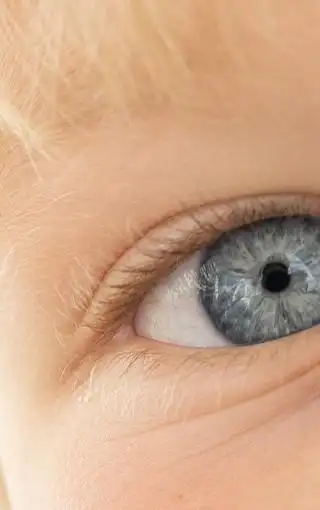 眼睛特写图片壁纸