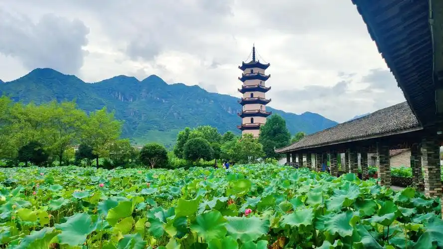 金华武义柳城西联畲韵莲香县域风貌区
