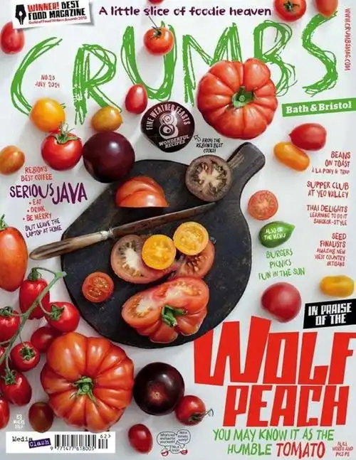 优秀的美食类杂志封面排版设计图片 | 创意窝-创意设计