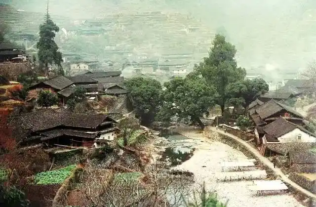 绝版珍藏三十年前温州农村老照片张张都是回忆