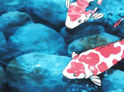 转发这个杨超越吃掉别人的锦鲤