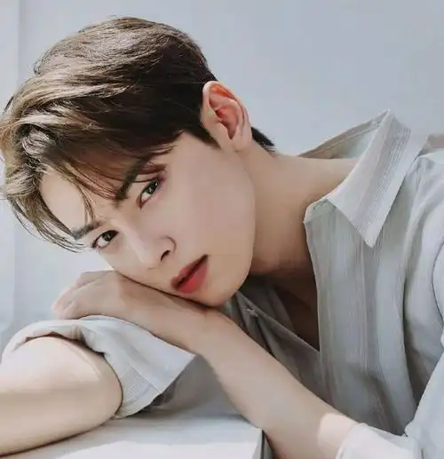 微信头像车银优