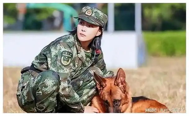 被全网黑的张馨予,如何将烂牌打成王炸?