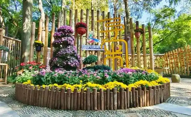 申城菊展信息都为你准备好啦→|花展|菊香|醉白池|曲水园|共青森林