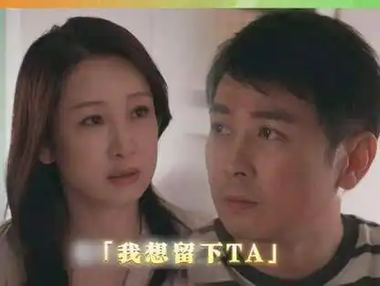 秦海璐 一起追剧综电视剧