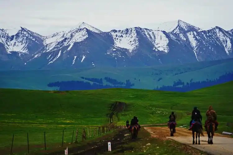 温和湿润的大西洋气流照拂下的喀拉峻草原,属于亚高山草甸植物区,水草
