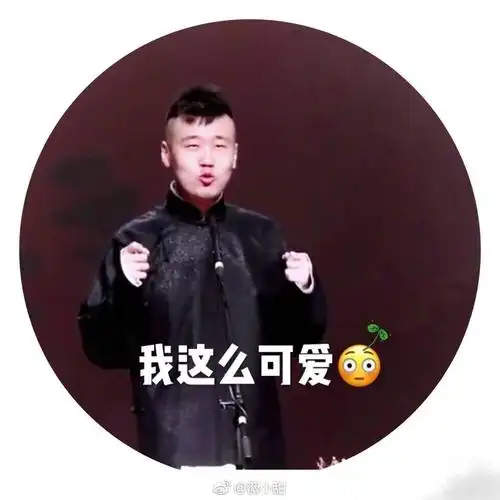 张云雷 杨九郎