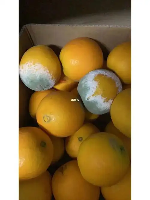 为什么大家会收到烂果