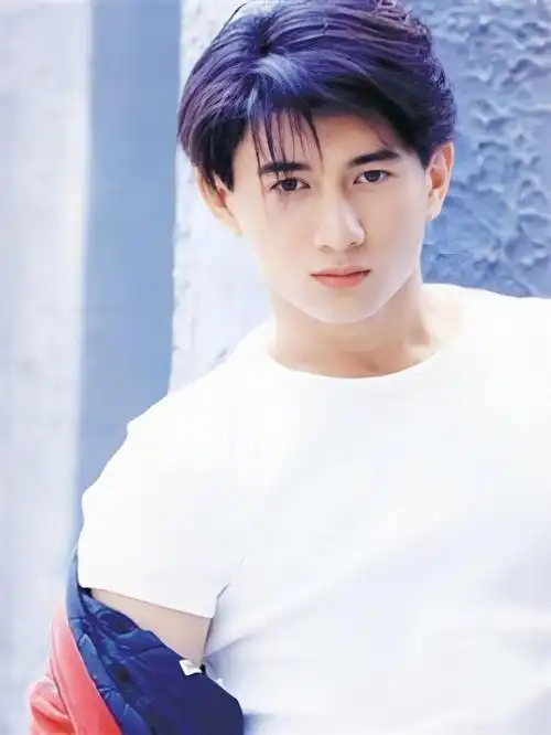 如何评价吴奇隆年轻时的颜值