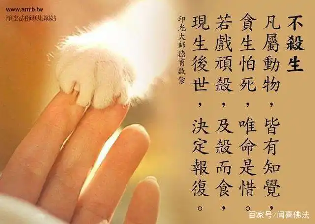 佛说:不要杀生了,吃素就是放生!