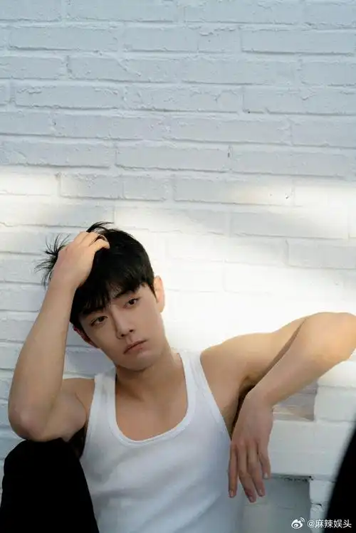 肖战上身身材