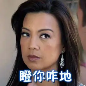 瞪你咋地梅姨表情包梅姨表情