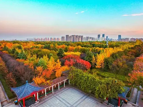 航拍图隋唐遗址植物园