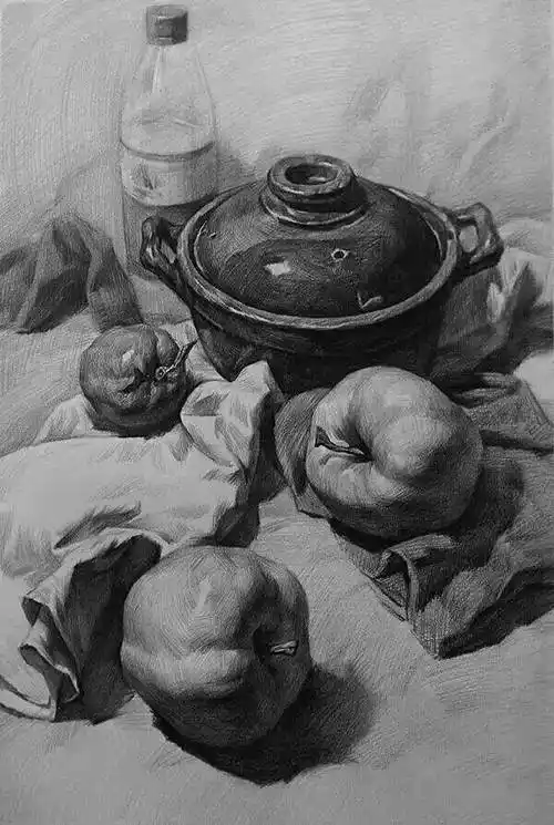 静物素描静物素描图片