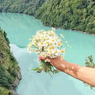 薄荷绿小清新风景静物头像