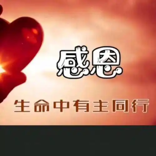 耶稣撒种与收割