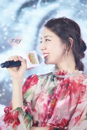 迪丽热巴/21克拉发布会