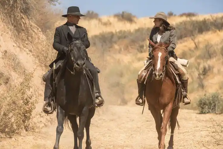 一部狂野却又不失细腻的西部片