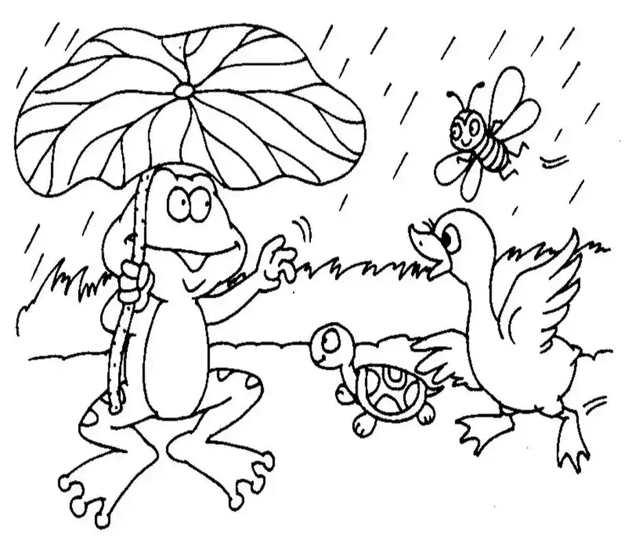 看图写话 青蛙的荷叶伞 周末,天气晴朗,青蛙和小乌龟,白鹅,还有小蜜蜂