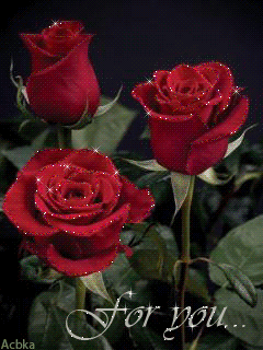 鲜花# #玫瑰# #gif# 灬铃兰灬采集