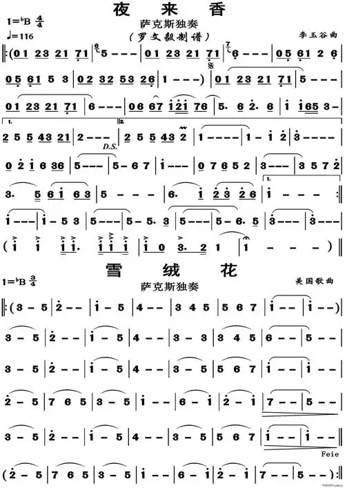 夜来香雪绒花萨克斯独奏