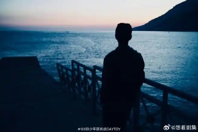 肖战背影神图##肖战海边落日剪影照