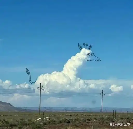 在我们每个人小的时候,都喜欢抬起头仰望天空,看着天上不断变化的云彩