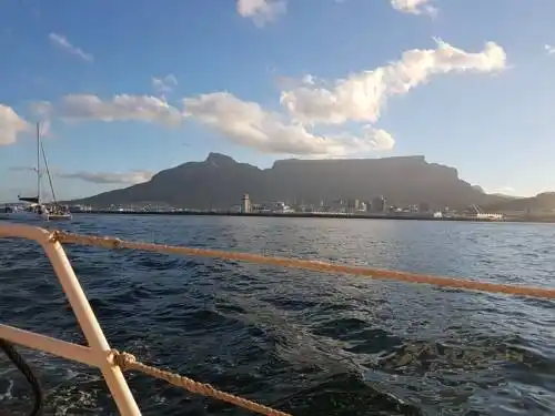 sea gem in bloubergstrand