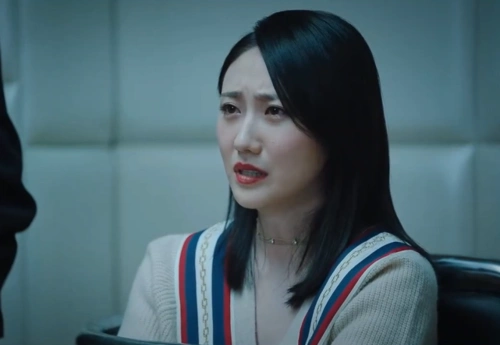 巡回检察组孤儿院复仇联盟白小莲被捕米振东狱中掌控全局