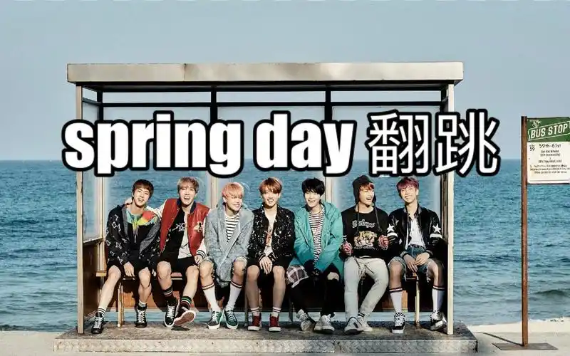 【春日 翻跳】-bts 防弹少年团_哔哩哔哩 (゜-゜)つロ 干杯~-bilibili