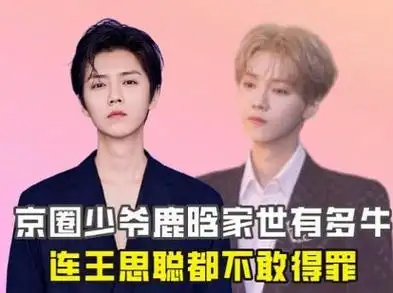 如今放眼整个娱乐圈单论鹿晗家世的豪门背景绝对是最牛的存在!