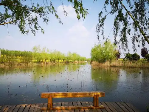 千娇百媚万般妖娆风姿绰约陈桥湿地公园