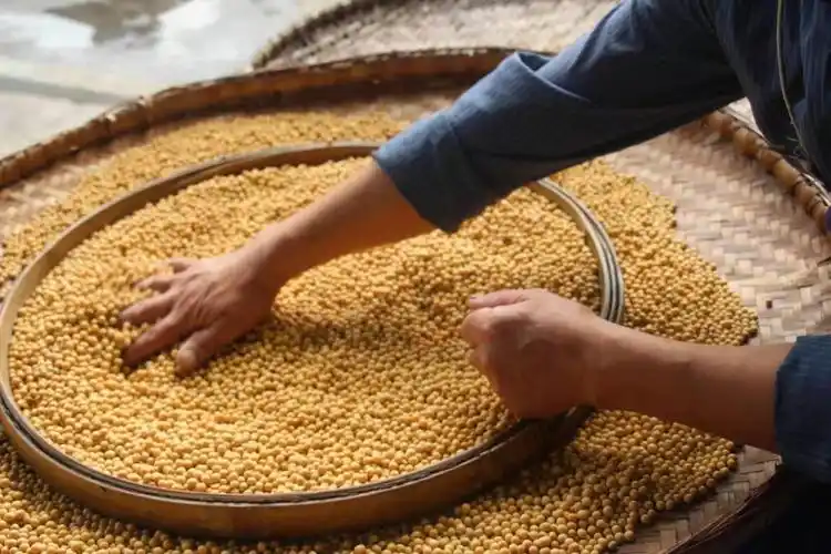 观音豆腐干制作技艺