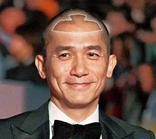 更让人瞩目的是梁朝伟,脑顶太尖不说,深情款款的电眼上一条惊世骇俗的