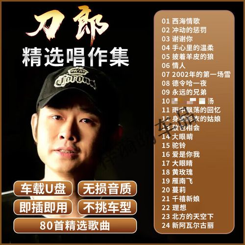 纽曼(newsmy)刀郎专辑汽车载u盘经典草原歌曲民歌无损高音质车用usb
