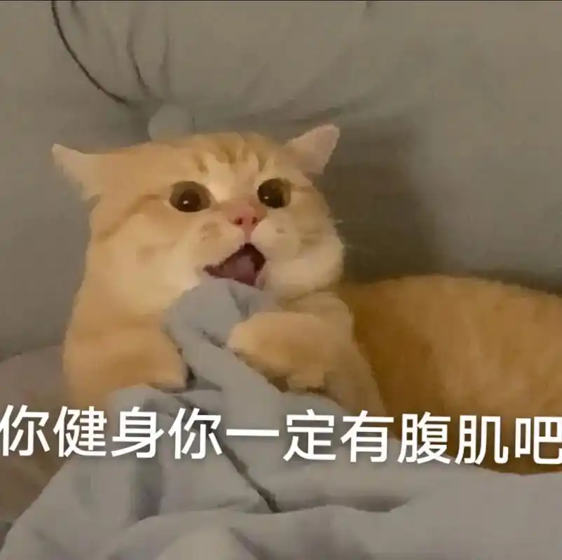 健身表情包.你健身一定有腹肌的对吧!"#健身表情包#撸铁#健 - 抖音