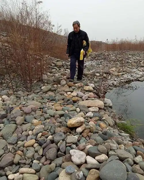 洛阳70岁刘老汉捡石头19年,他收藏的瓜果奇石,石友看得眼馋了