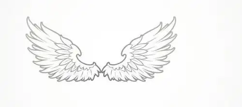 恶魔翅膀画法简笔画简笔画6015敲可爱的手绘简笔画小翅膀噢08简笔唯美