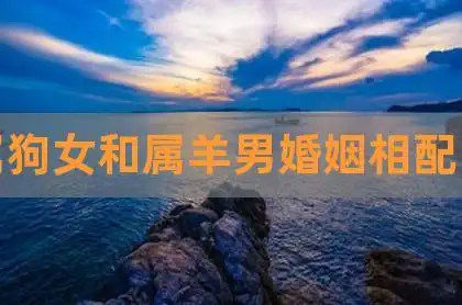 属狗女和属羊男婚姻相配吗,属狗属羊是上等婚姻,1994年属狗女一生运势