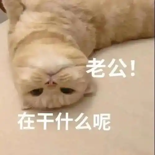 小tips调戏撩老公的表情包!