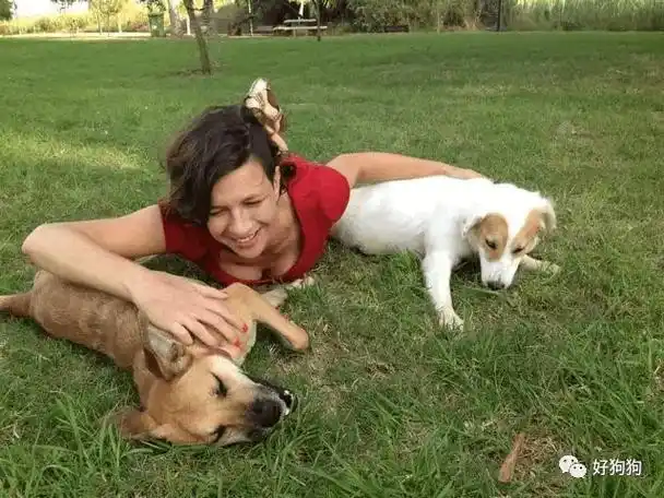 94年狗男和狗女婚配1994年的狗男与1996年的鼠女相配好吗相克吗