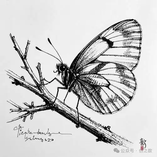 10幅动物手绘线稿分享