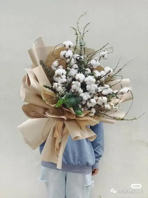 木棉花的寓意和象征(来一束温暖的棉花花束)