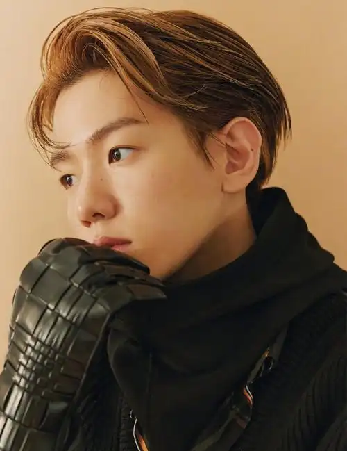 边伯贤秋冬新装时尚大片写真图片