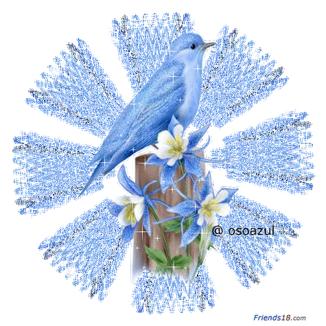 = = = ·百·鸟·园· = = = 【装饰图·一·】 - 芊 卉 子 - =★=