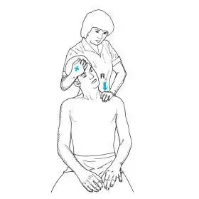 图解斜角肌scalenemuscles牵伸方法转