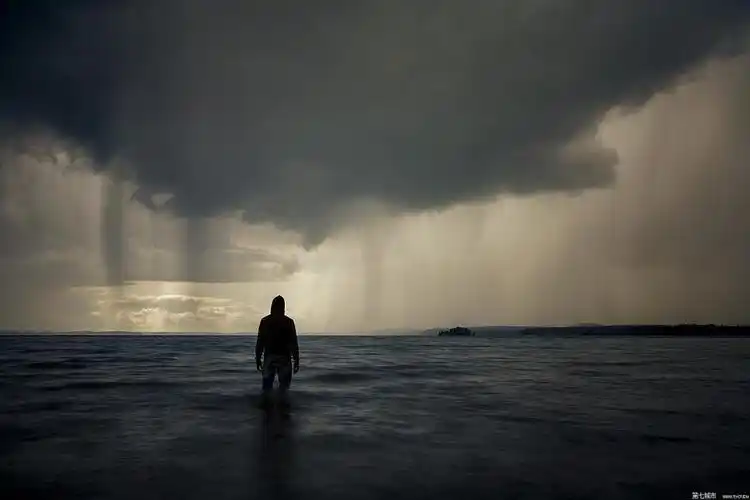 到17年已高达两亿,也就是说每七个年轻人中,有一个人不得不选择寂寞