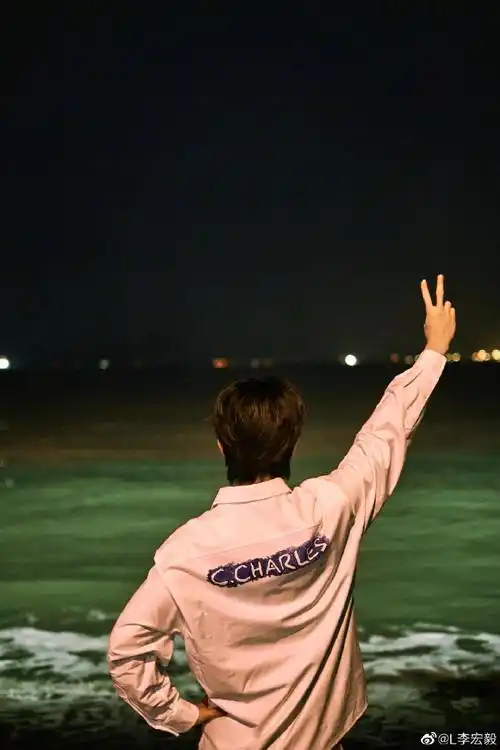 李宏毅海边比耶背影照